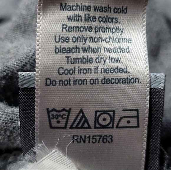 WOMEN'S CHAMPION HOODIE - Picture 7 of 8